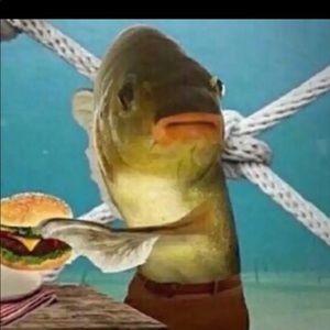 Meet your Posher, Deidrick